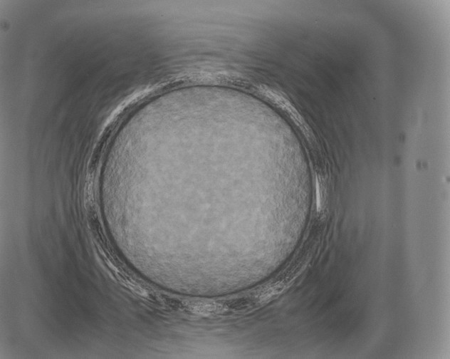 X0000085070579200704021413