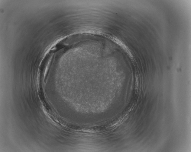 X0000085070580200704021413