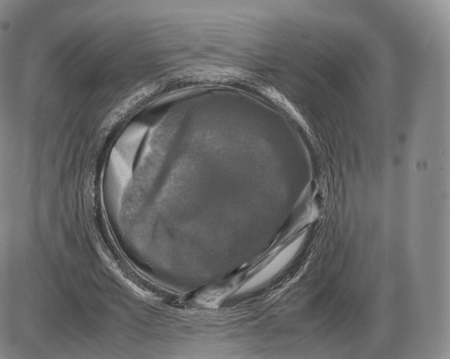 X0000085070581200704021413