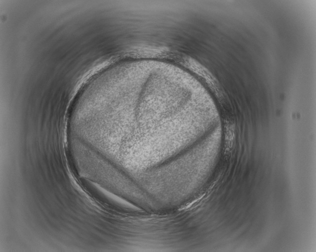 X0000085070582200704021413