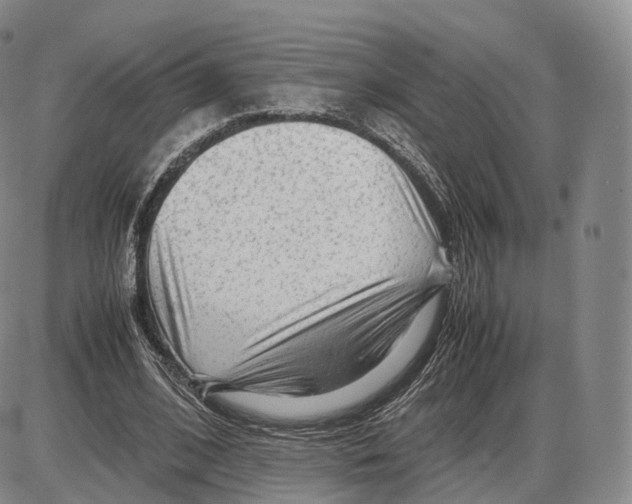 X0000085070584200704021413