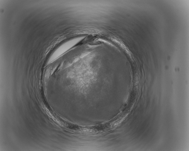 X0000085070585200704021413