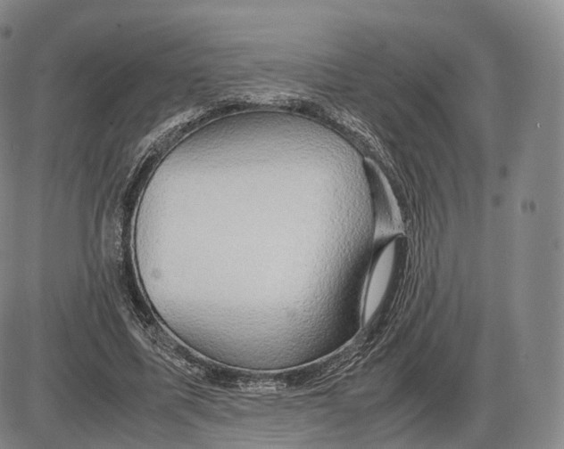 X0000085070587200704021413