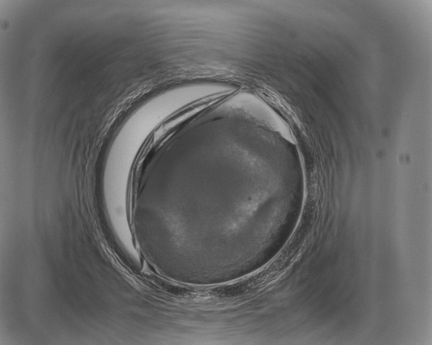 X0000085070589200704021413