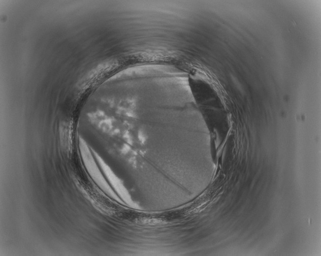 X0000085070590200704021413