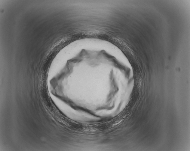 X0000085070591200704021413