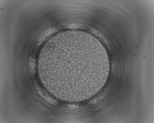 X0000085070592200704021413