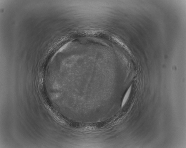 X0000085070593200704021413