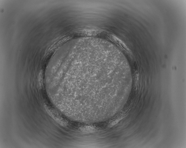 X0000085070594200704021413