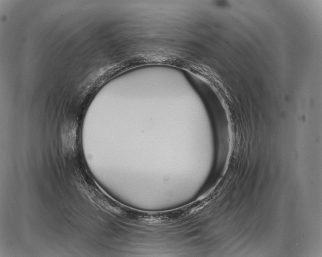 X0000085070596200704021413