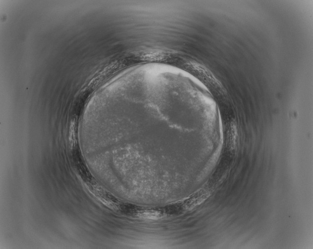 X0000085070598200704021413