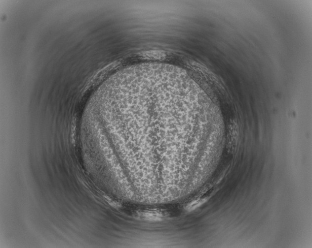 X0000085070600200704021413