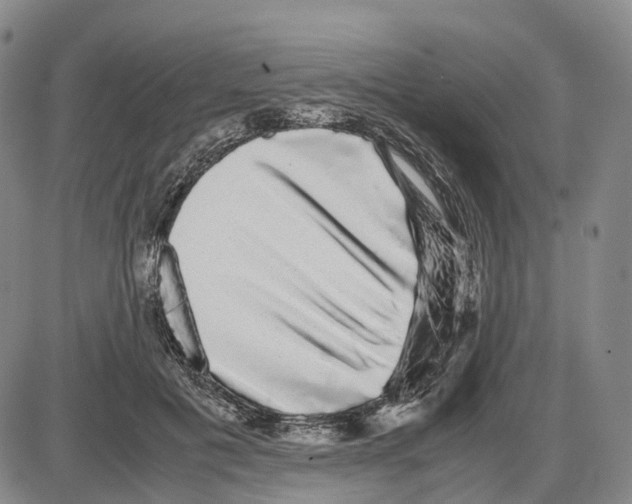 X0000085070601200704021413