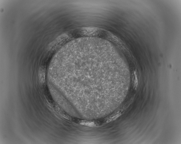 X0000085070602200704021413