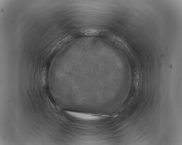 X0000085070604200704021413