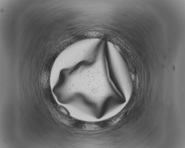 X0000085070605200704021413