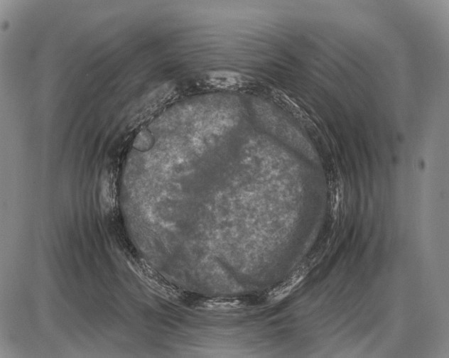 X0000085070606200704021413