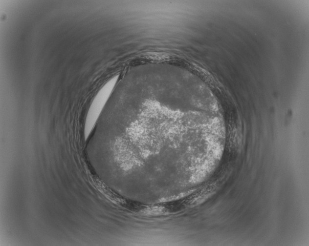 X0000085070609200704021413