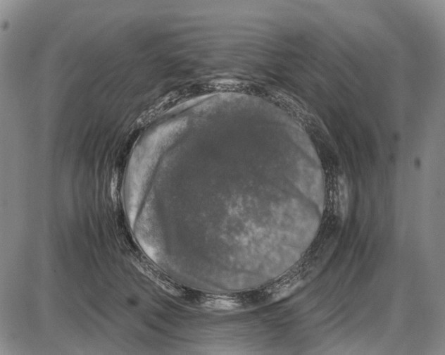 X0000085070610200704021413