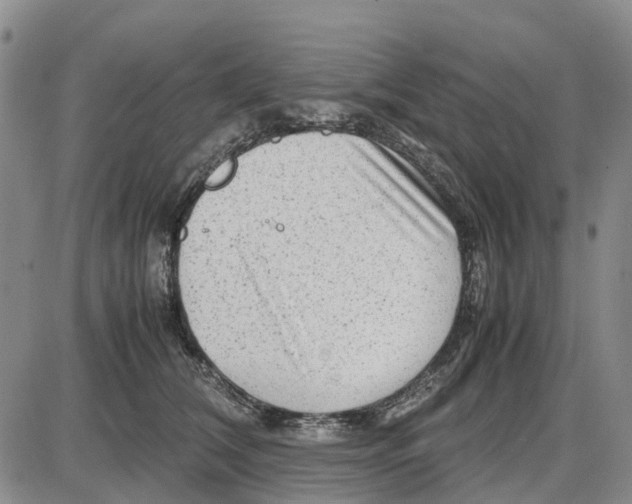 X0000085070612200704021413