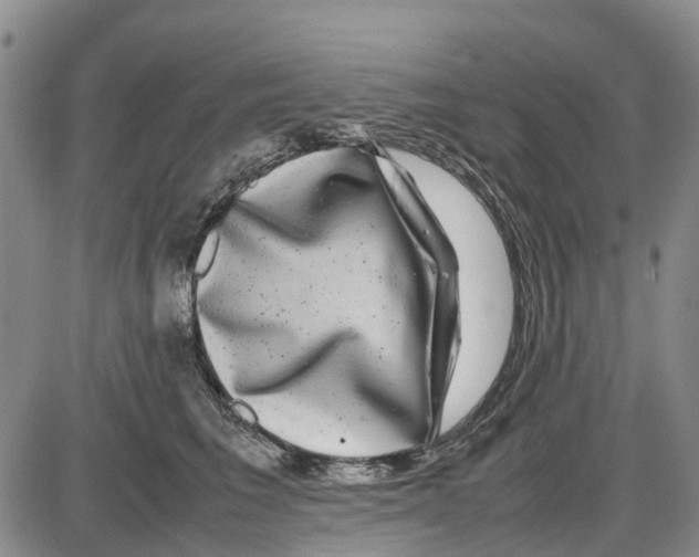 X0000085070613200704021412