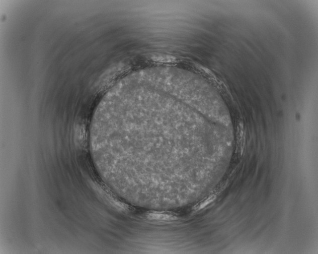 X0000085070614200704021412