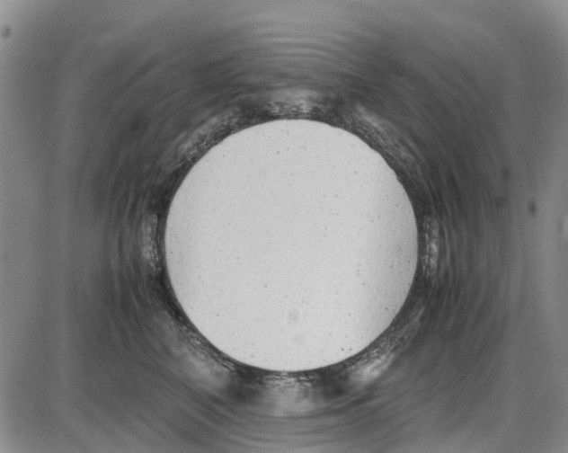 X0000085070616200704021412