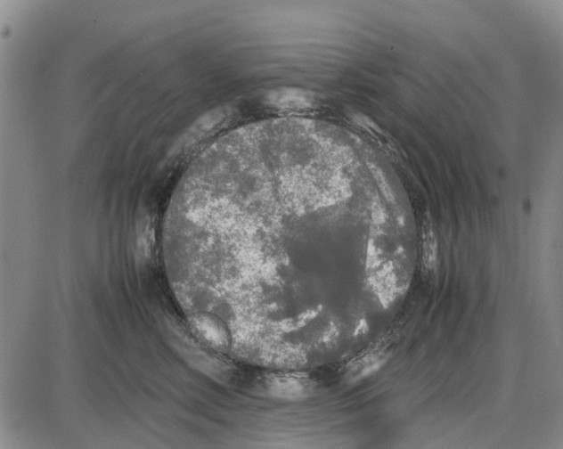 X0000085070618200704021412