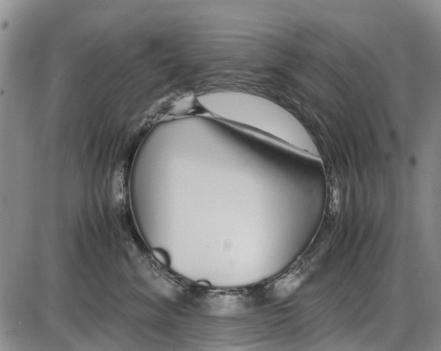 X0000085070620200704021412