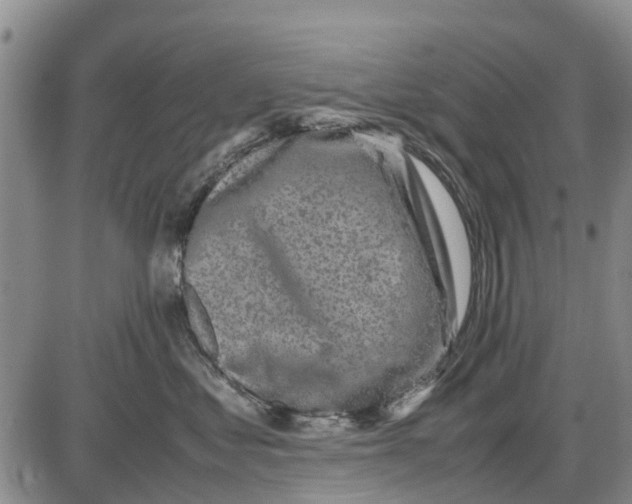 X0000085070621200704021412