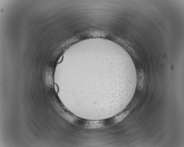 X0000085070622200704021412