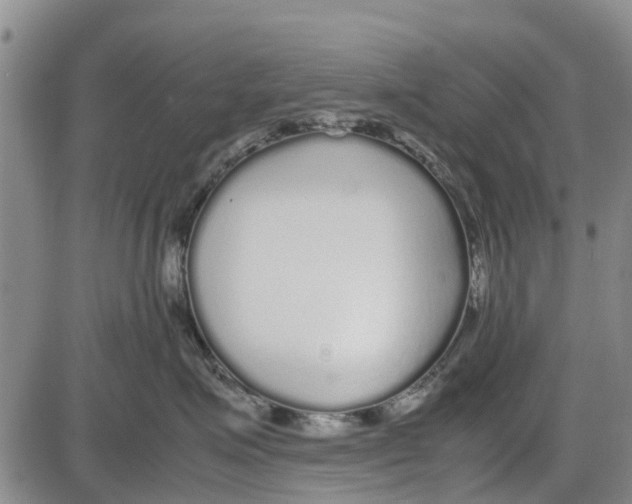 X0000085070623200704021412