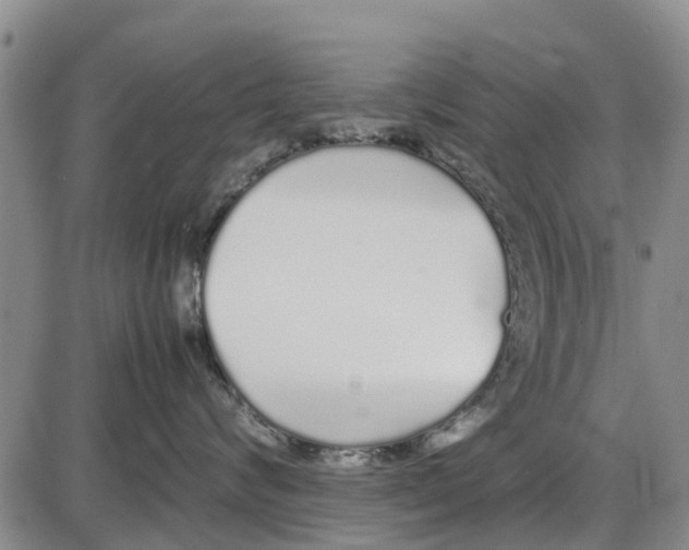 X0000085070624200704021412