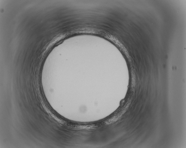 X0000085070625200704021412