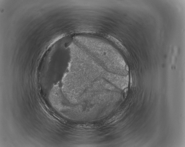 X0000085070627200704021412