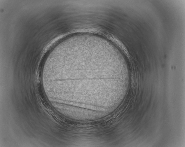 X0000085070628200704021412