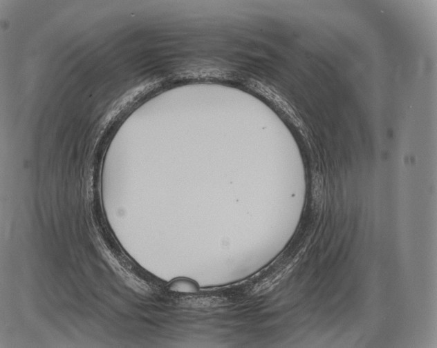 X0000085070629200704021412