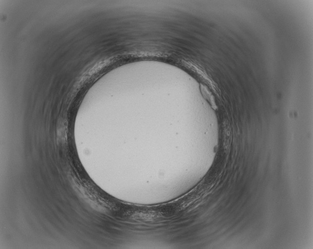 X0000085070631200704021412