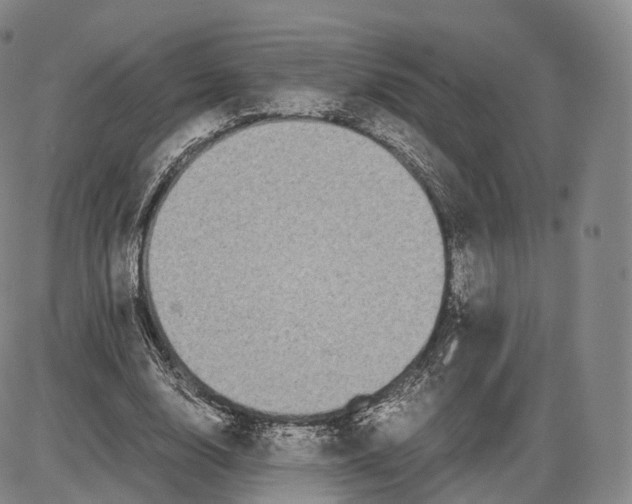 X0000085070632200704021412