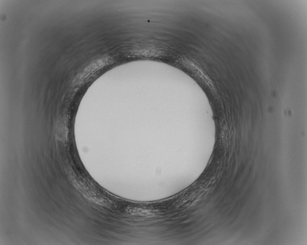 X0000085070635200704021412