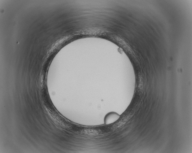 X0000085070636200704021412