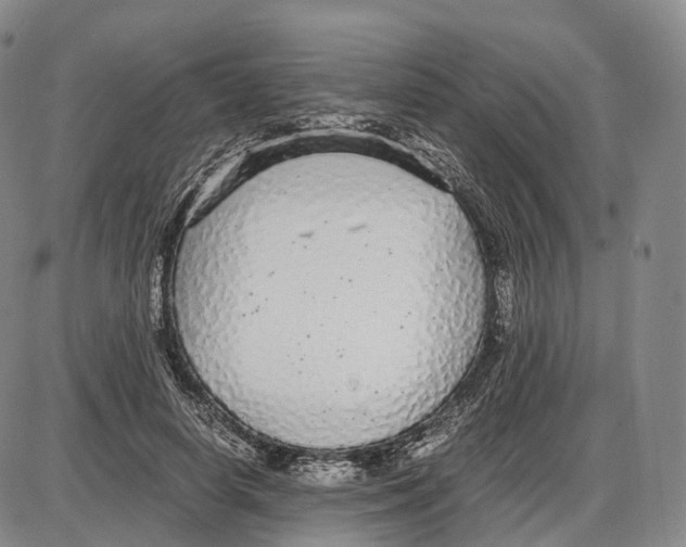 X0000085070642200704021412