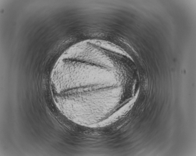 X0000085070643200704021412