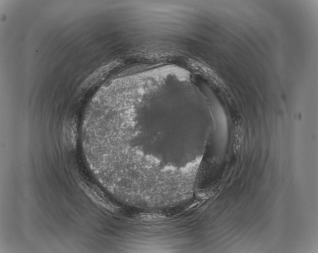 X0000085070644200704021412