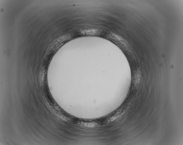 X0000085070645200704021412