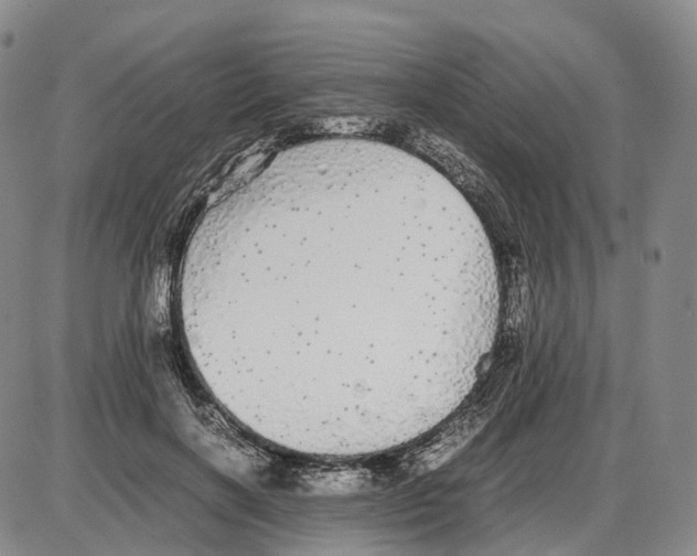 X0000085070646200704021412