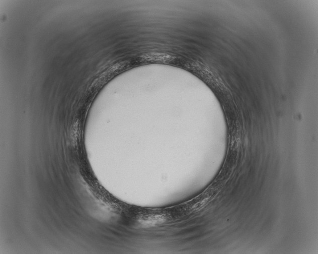 X0000085070647200704021412