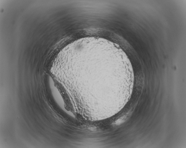 X0000085070648200704021412