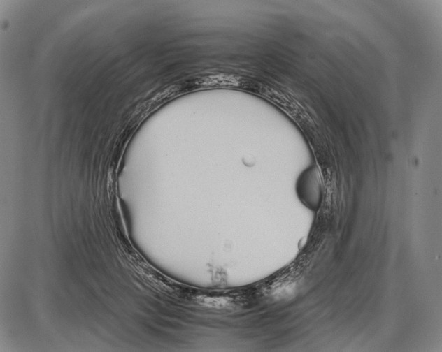 X0000085070649200704021412