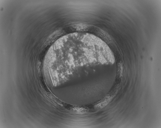 X0000085070650200704021412